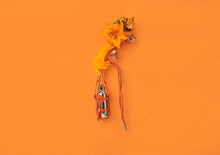 Load image into Gallery viewer, ORANGE STAINLESS STEEL SUS316 VACUUM BOTTLE CORONATION NO 4.
